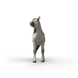 Schleich Knabstrupper Gelding