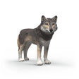 Schleich Wolf