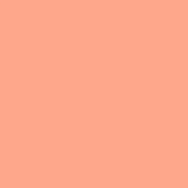 Liquitex Marker 2mm - Peach