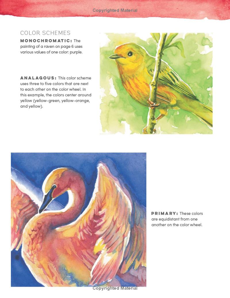 Portfolio: Beginning Watercolour Book