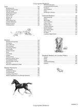 Beginners Guide to Drawing Animals Book