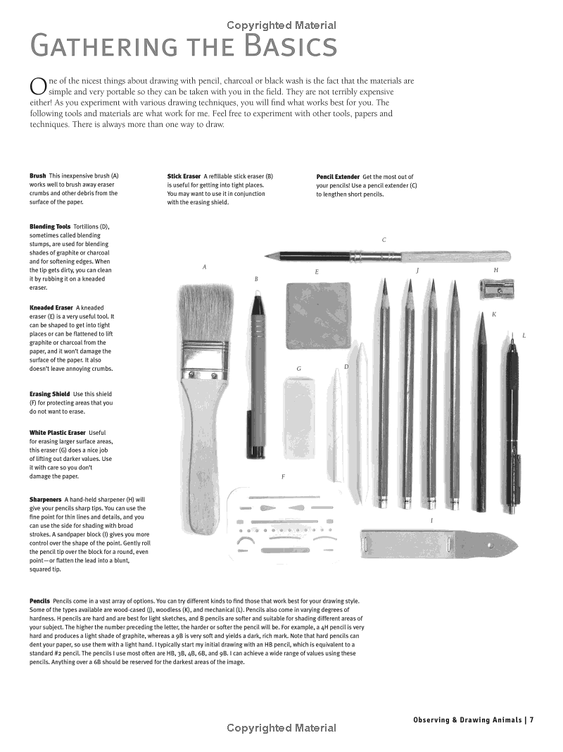 Beginners Guide to Drawing Animals Book