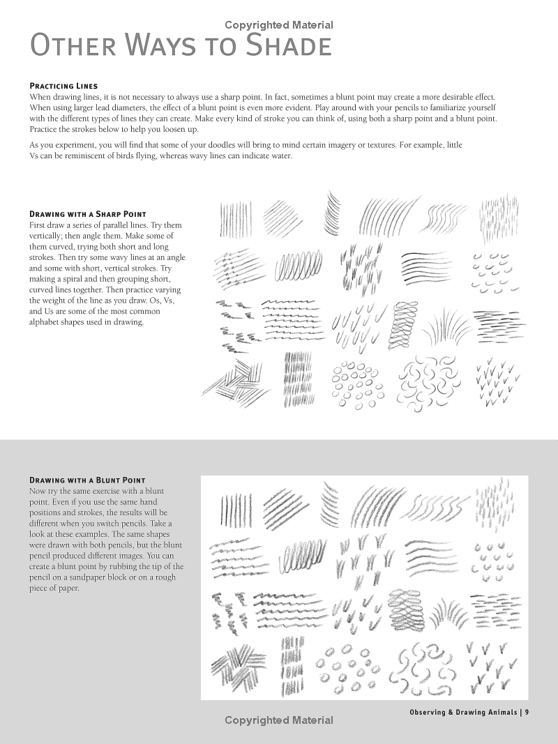 Beginners Guide to Drawing Animals Book