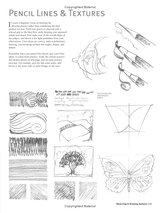 Beginners Guide to Drawing Animals Book