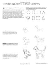 Beginners Guide to Drawing Animals Book