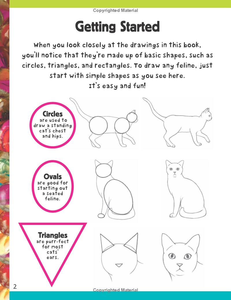 How To Draw: Cats & Kittens Book