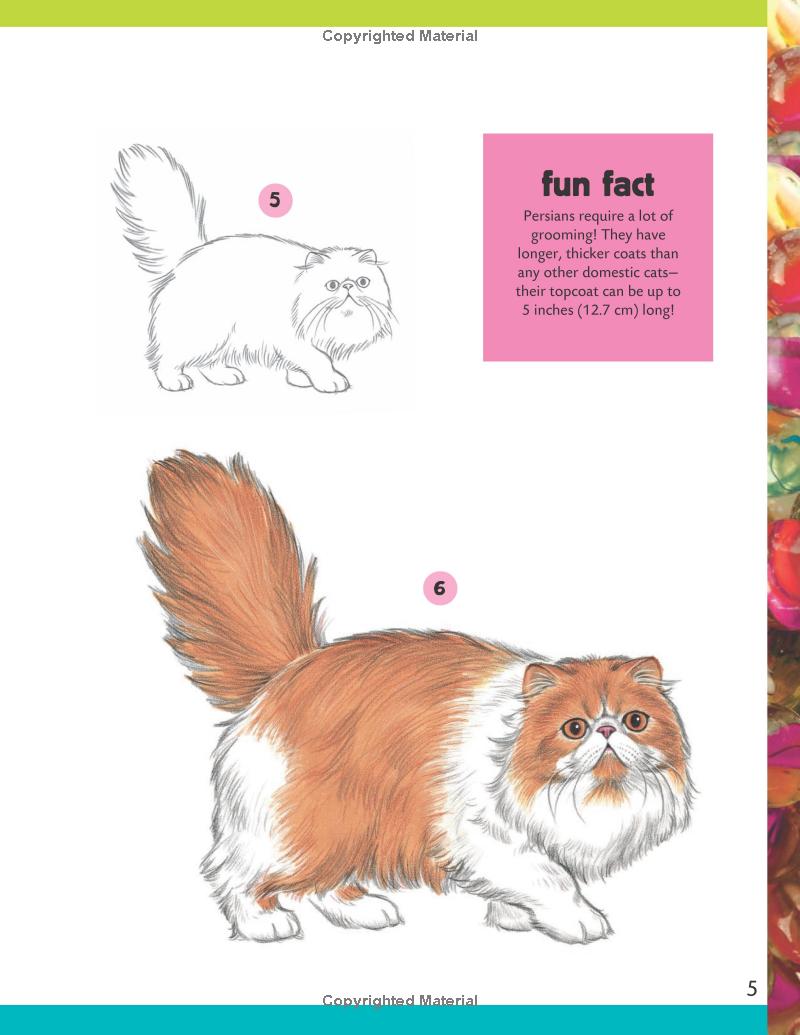 How To Draw: Cats & Kittens Book