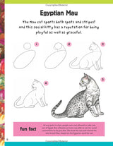 How To Draw: Cats & Kittens Book