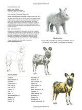How to Draw: African Animals Book