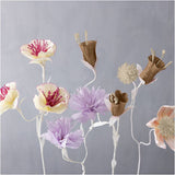 Crepe Paper 25x60cm - Natural Colours (8 Sheets)