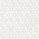 Lace Patterned cardboard