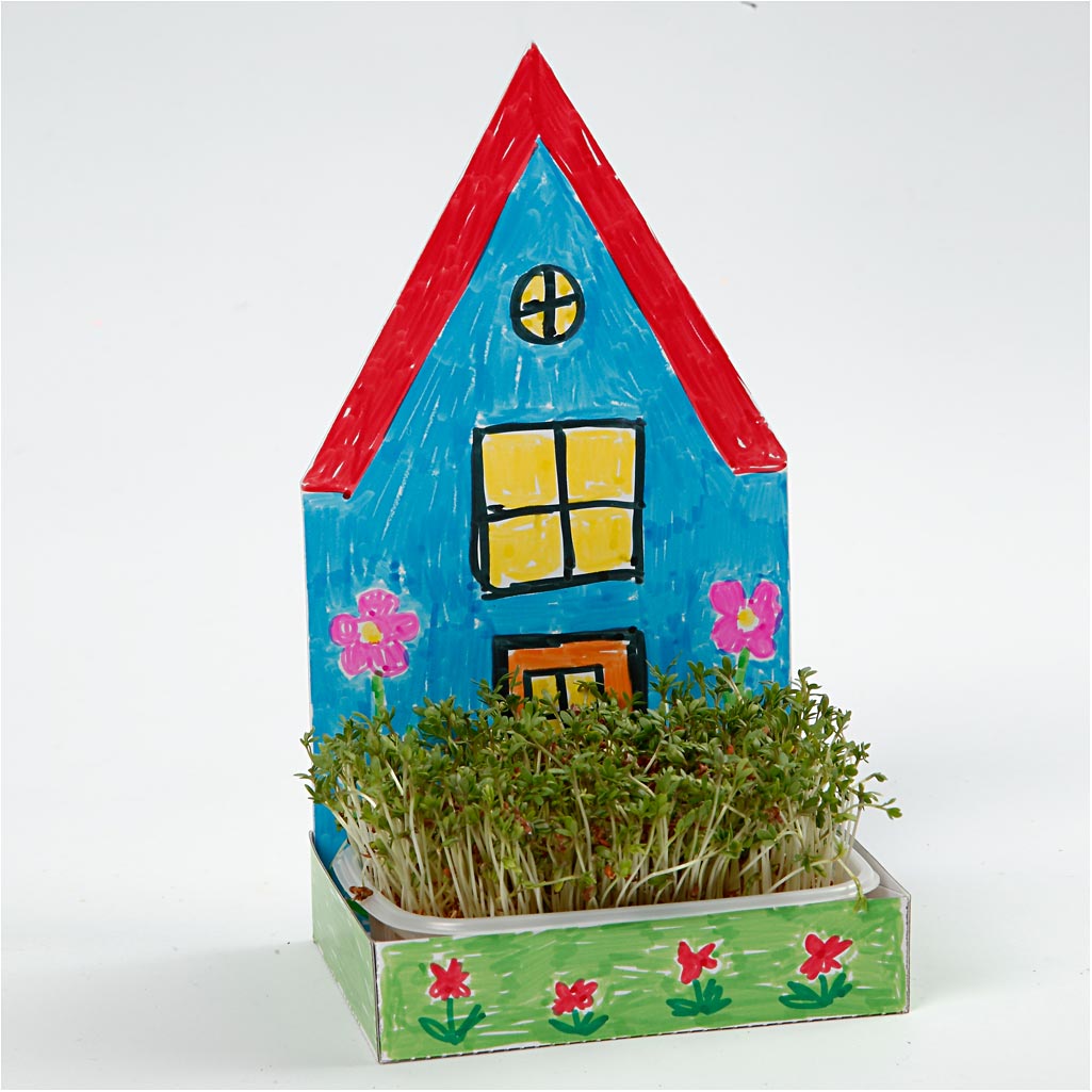 Figure Shaped Cress Trays