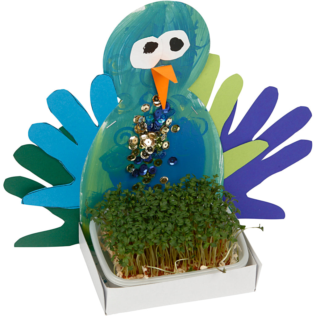 Figure Shaped Cress Trays