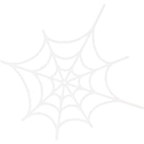 Spider Web