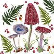 Table Napkins