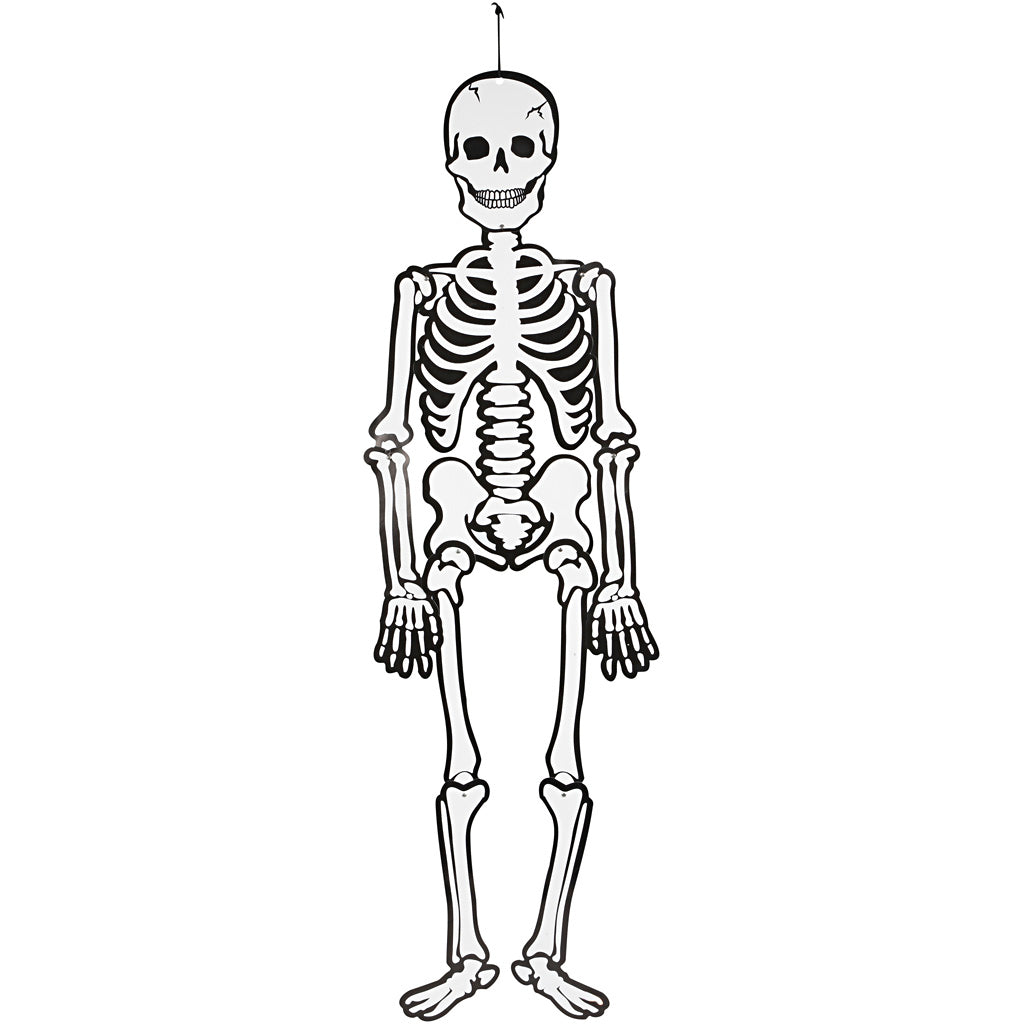 Skeleton