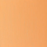 Artists' Oil Colour 37ml Cadmium Orange