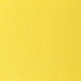 Artists' Oil Colour 37ml Cadmium Yellow Pale