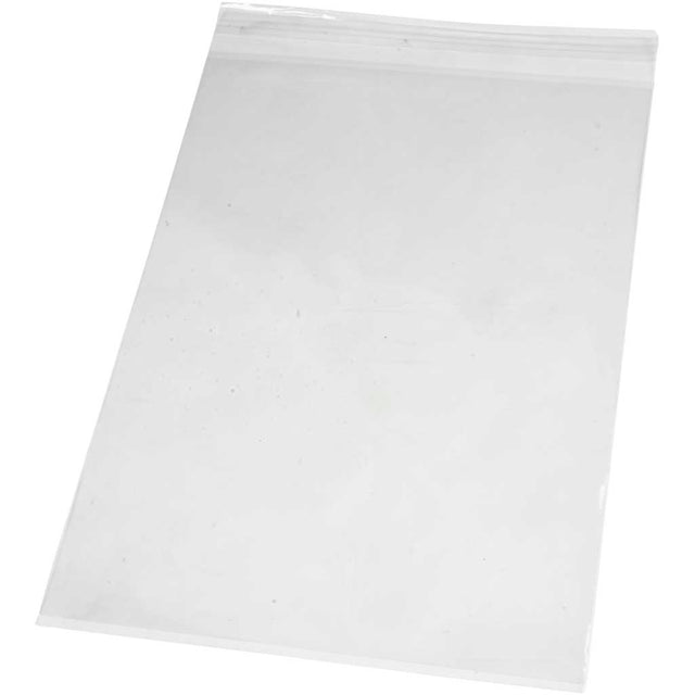 Cellophane Bag