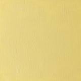 Artists' Oil Colour 37ml Indian Yellow