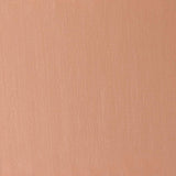 Artists' Oil Colour 37ml Light Red