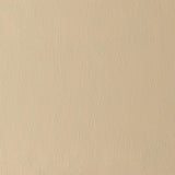 Artists' Oil Colour 37ml Raw Umber Light