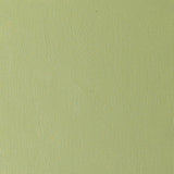 Artists' Oil Colour 37ml Sap Green