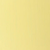 Artists' Oil Colour 37ml Winsor Lemon