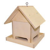 Craft Set - Bird Feeder