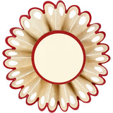 Paper Rosettes