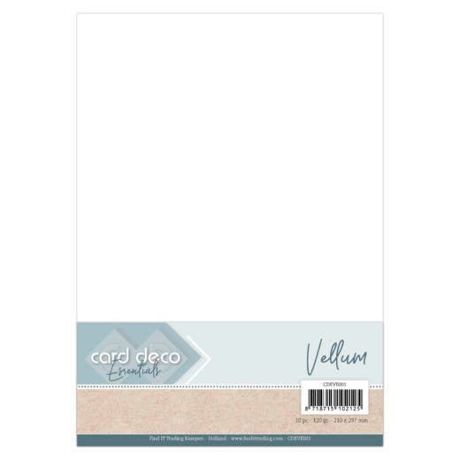 Card Deco Vellum A4 (Pack of 10)