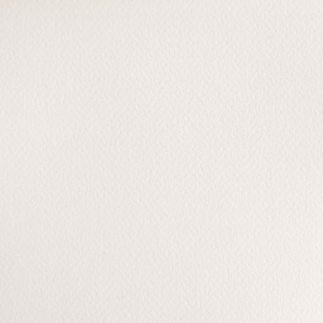 Winsor & Newton Cotman Watercolour Paint 8ml Chinese White