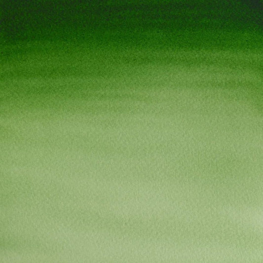 Winsor & Newton Cotman Watercolour Hooker's Green Light 8ml