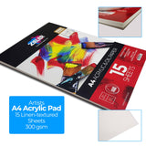 Zieler Acrylic Paint Starter Set - 17 Piece Gift Set