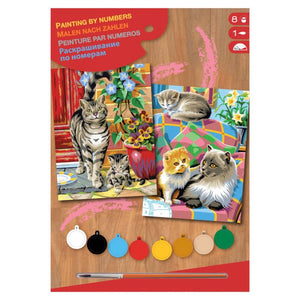 Paint By Numbers Medium - Cats Twin Pack