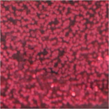Glitter Glue