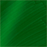 Acrylic Paint Glossy
