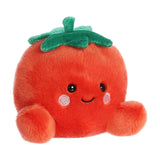 Palm Pals Boyd Tomato 5 Inch Plush Toys