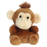 Palm Pals 5 Inch - Boomer Monkey