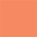 CARAN Dâ€™ACHE Neocolor I Crayons
