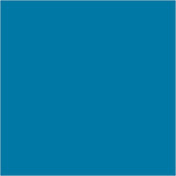 CARAN Dâ€™ACHE Neocolor II