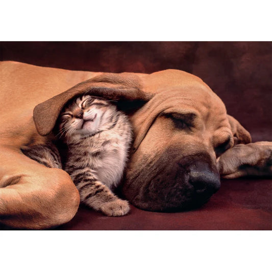 500 Piece Jigsaw Puzzle - Cuddles