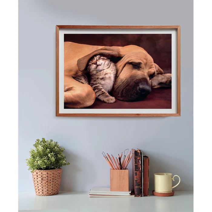 500 Piece Jigsaw Puzzle - Cuddles