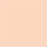 Plus Color Craft Paint