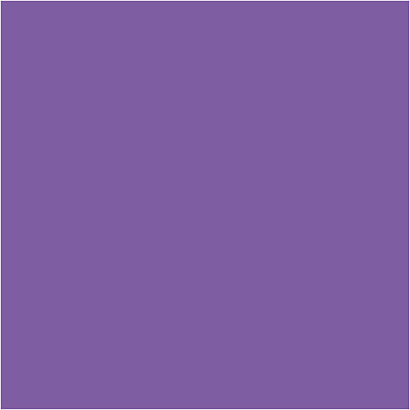 Plus Color Craft Paint