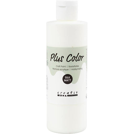 Plus Color Craft Paint