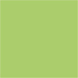 Plus Color Craft Paint