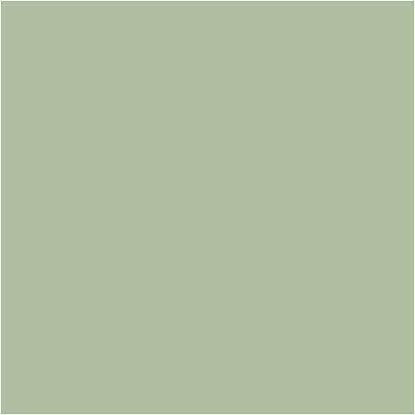 Plus Color Craft Paint
