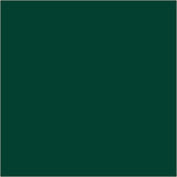 Plus Color Craft Paint