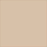 Plus Color Craft Paint